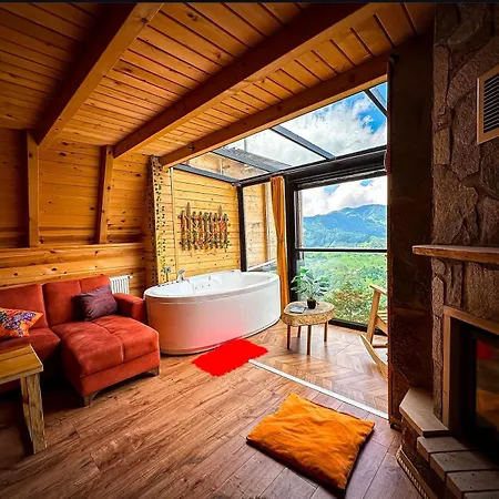 Guest house Golden Paws *
